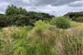 Ballynamona , Ballyglunin
