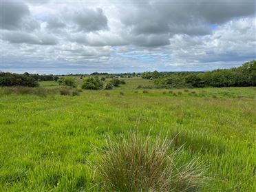 Ballynamona , Ballyglunin, Abbeyknockmoy, Co. Galway
