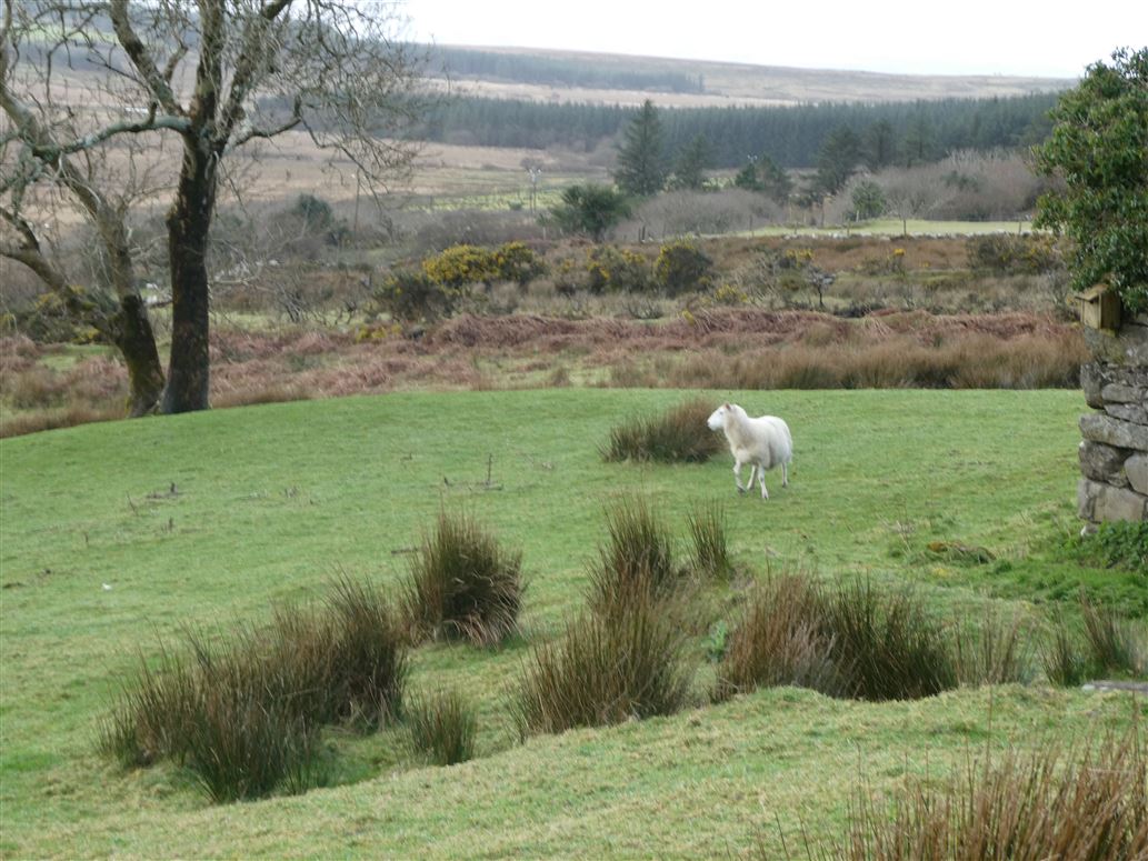   Derrineden, Waterville, Kerry