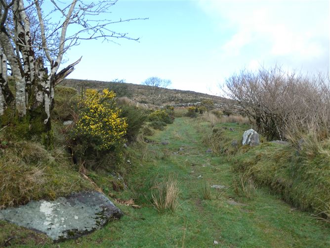   Derrineden, Waterville, Kerry