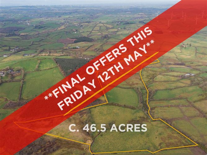 Pottle Upper, Bailieborough, Cavan Keenan Auctioneers 4690002