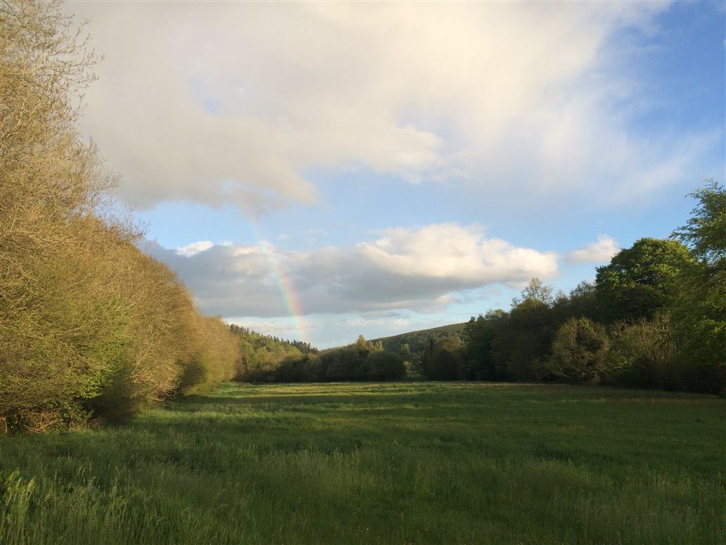 Ballinacarrig Lower, Ballinaclash, Wicklow