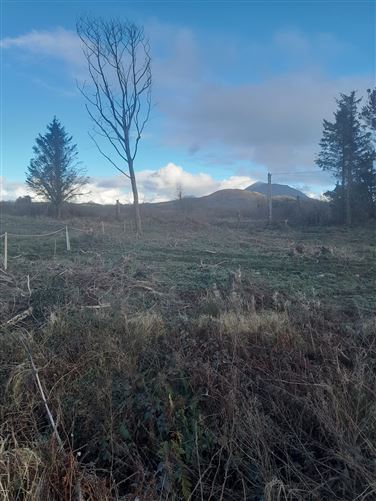 Moneen, Louisburgh, Mayo