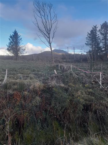 Moneen, Louisburgh, Mayo