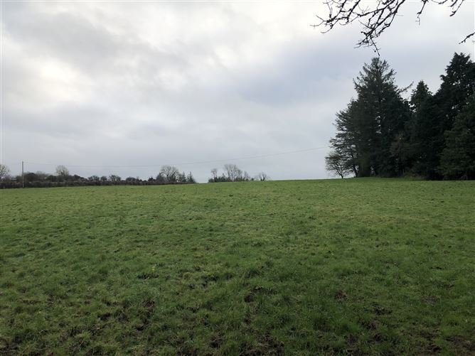 Circa 0.75 acres site at Ballyhowley 