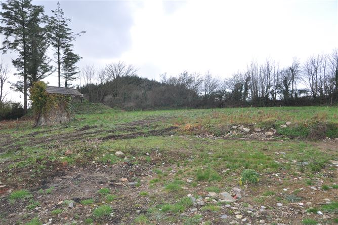 Oldhall, Bridgetown, Wexford
