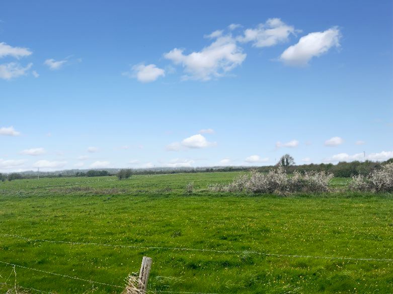 2.34 Hectares (5.78 Acres) Of Land, Plan No. 14 Folio CE24250, Islandavanna, Tiermaclane, Ennis, Co. Clare