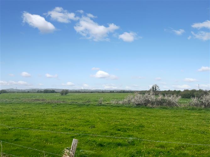 2.34 Hectares (5.78 Acres) Of Land, Plan No. 14 Folio CE24250, Islandavanna, Tiermaclane, Ennis, Co. Clare
