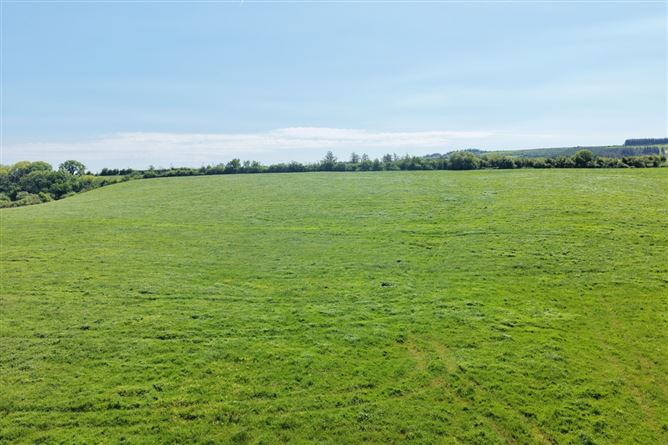 LOT 3: 22.4 Acres Mountcoal, Listowel, Co. Kerry