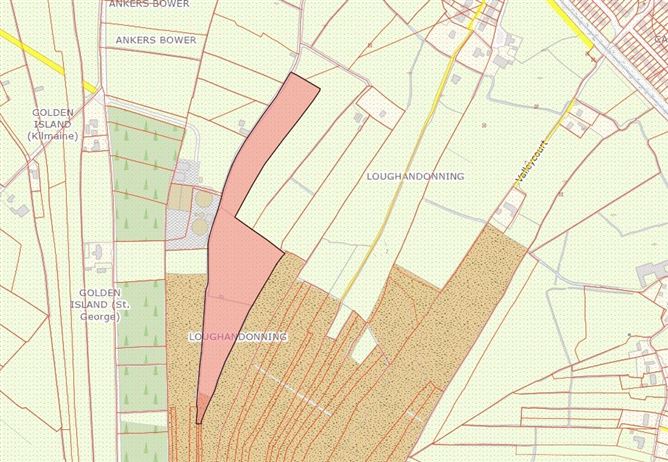 Argicultural Land, Loughandonning, Golden Island, Athlone