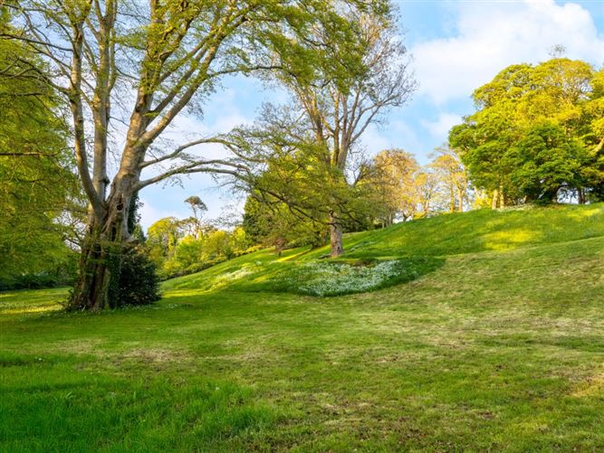 https://photos-a.propertyimages.ie/media/2/0/5/4930502/63769abc-cc3f-49c2-9dfd-ebe845f0f882_l.jpg