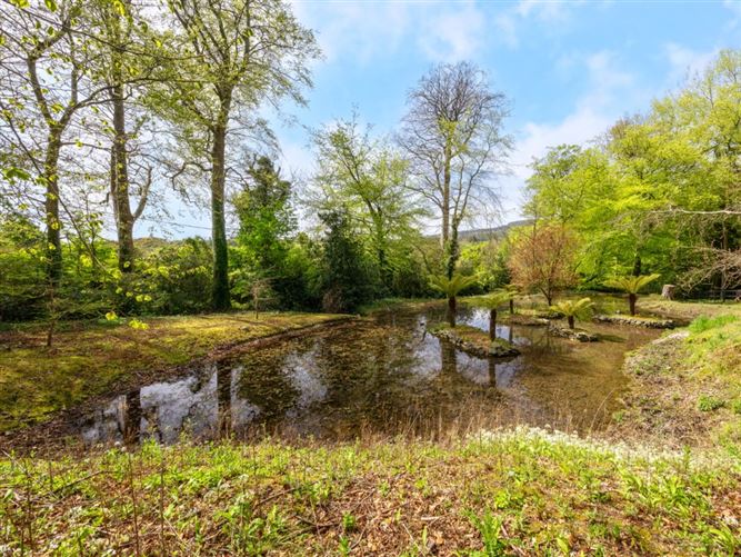 https://photos-a.propertyimages.ie/media/2/0/5/4930502/63769abc-cc3f-49c2-9dfd-ebe845f0f882_l.jpg
