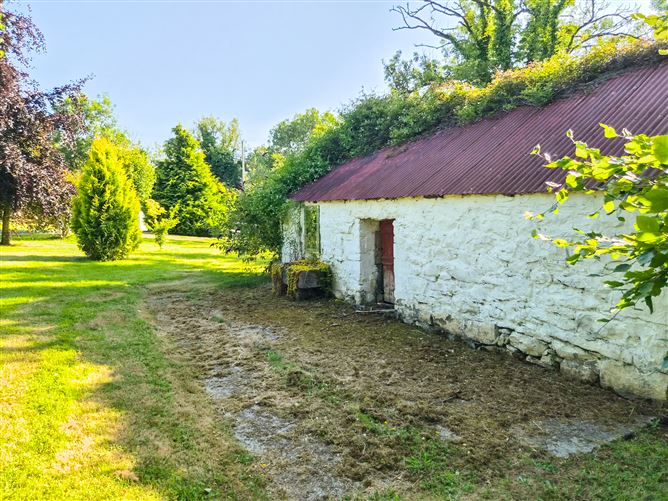 Photo 14 of 113 — Brocklagh, Drumlish, Longford