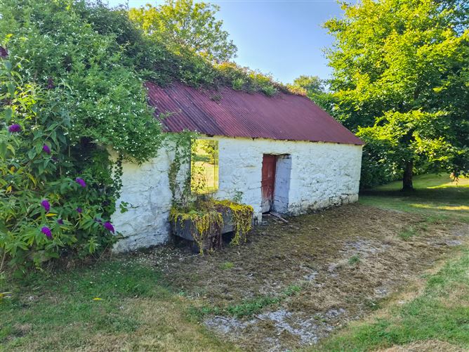 Photo 15 of 113 — Brocklagh, Drumlish, Longford
