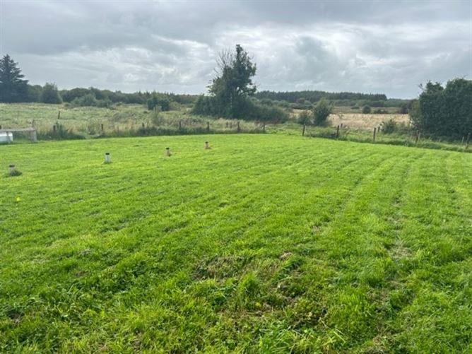 Loughpark, Glenamaddy, Galway