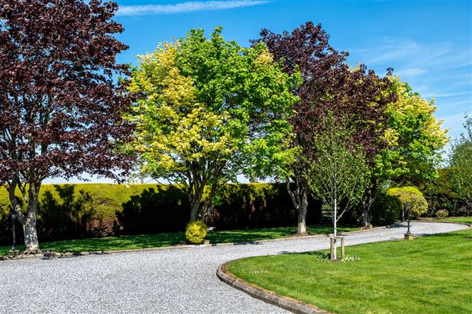 Gorteen, Killeigh, Tullamore, Co. Offaly