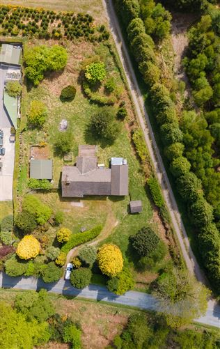 Spruce Lodge, Laragh East, Glendalough, Wicklow