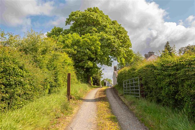 29.92 Ha, (74 acres) Residential Agricultural Holding, Julianstown, Nobber, Co. Meath