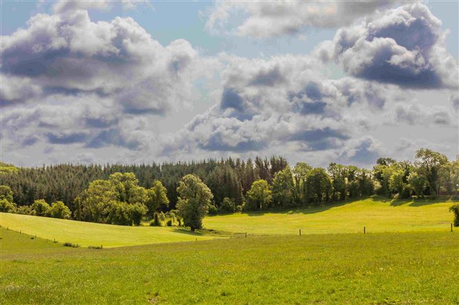 29.92 Ha, (74 acres) Residential Agricultural Holding, Julianstown, Nobber, Co. Meath