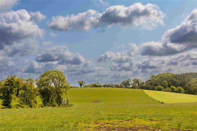 29.92 Ha, (74 acres) Residential Agricultural Holding, Julianstown, Nobber, Co. Meath