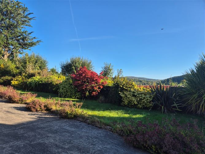 Lower Street, Rathdrum, Wicklow