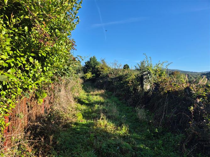Lower Street, Rathdrum, Wicklow