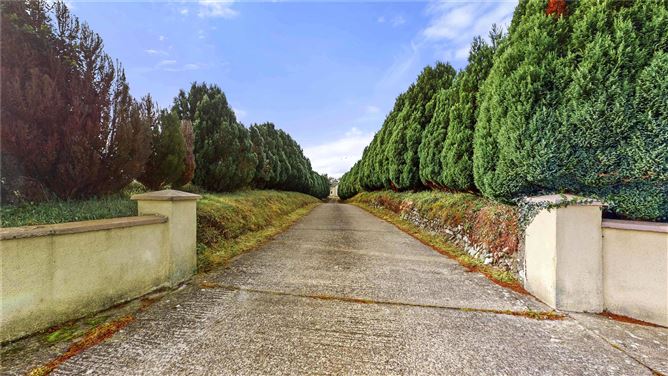 Ballinamona Beg, Ballaghkeen, Enniscorthy, Co. Wexford