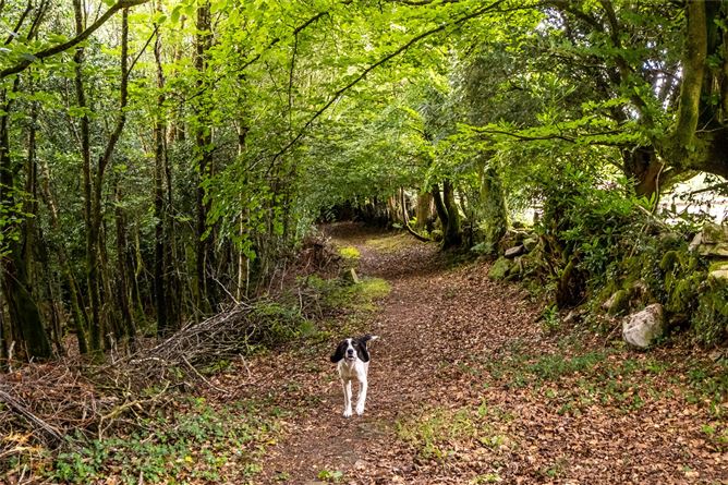 Coose Lower, Derrygoolin, Whitegate, Co. Clare