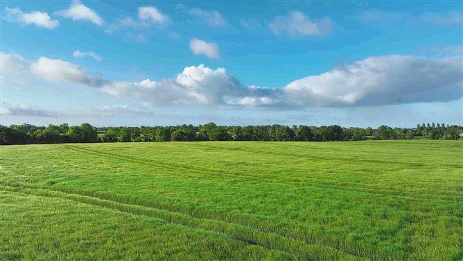 Knightsbrook, Trim, Meath