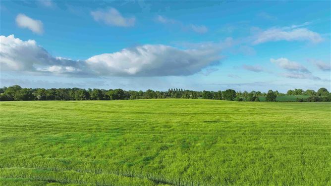 Knightsbrook, Trim, Meath