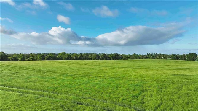 Knightsbrook, Trim, Meath