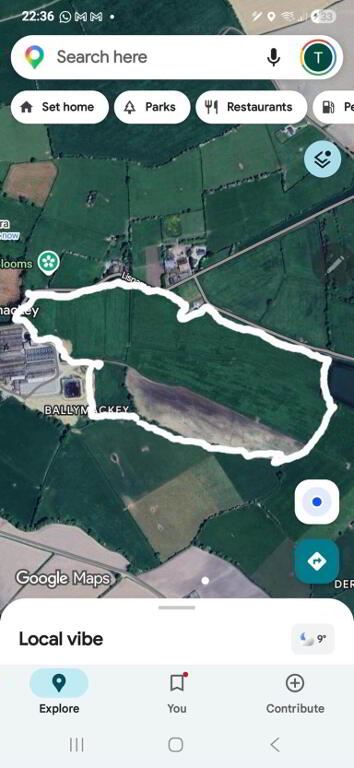 48 Acres, Of Grass For 1st And 2nd Cut Silage, Ballymackey, Nenagh, Tipperary