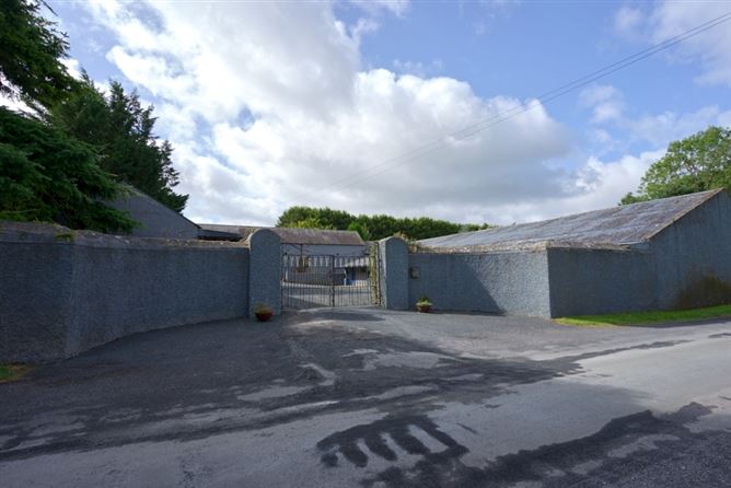 Photo 43 of 55 — Mountprospect House, Mountprospect Rathangan, Co. Kildare. 