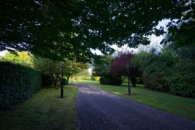 Photo 41 of 55 — Mountprospect House, Mountprospect Rathangan, Co. Kildare. 