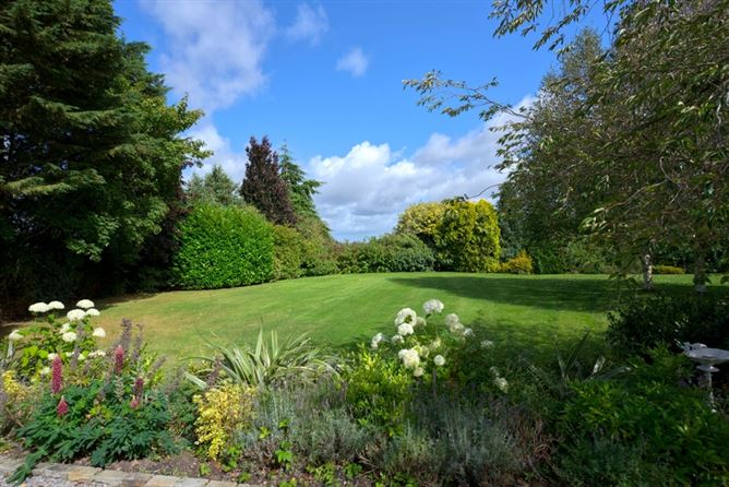 Photo 39 of 55 — Mountprospect House, Mountprospect Rathangan, Co. Kildare. 