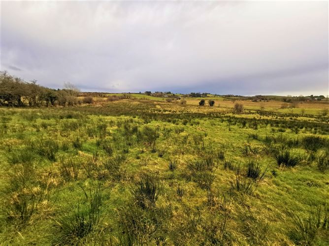 Killasser, Swinford, Co. Mayo