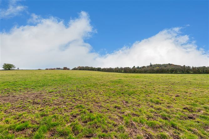 Drumlargan, Summerhill, Co. Meath