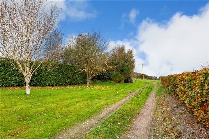 Drumlargan, Summerhill, Co. Meath