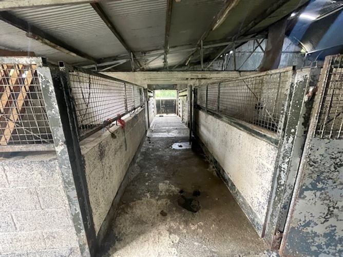 17 individual stables on C. 6 Acres at Poulpeastry, Clonroche, Wexford