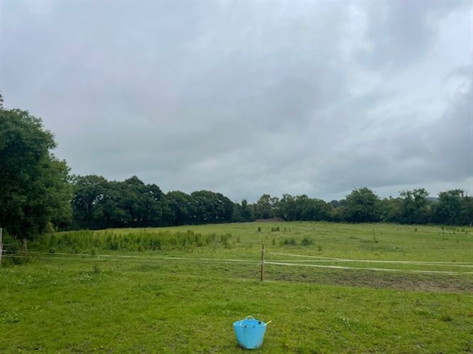 17 individual stables on C. 6 Acres at Poulpeastry, Clonroche, Wexford