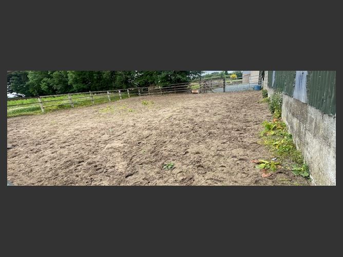 17 individual stables on C. 6 Acres at Poulpeastry, Clonroche, Wexford