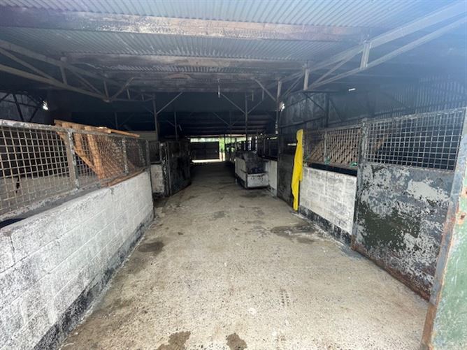 17 individual stables on C. 6 Acres at Poulpeastry, Clonroche, Wexford