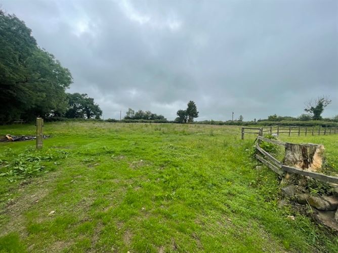 17 individual stables on C. 6 Acres at Poulpeastry, Clonroche, Wexford