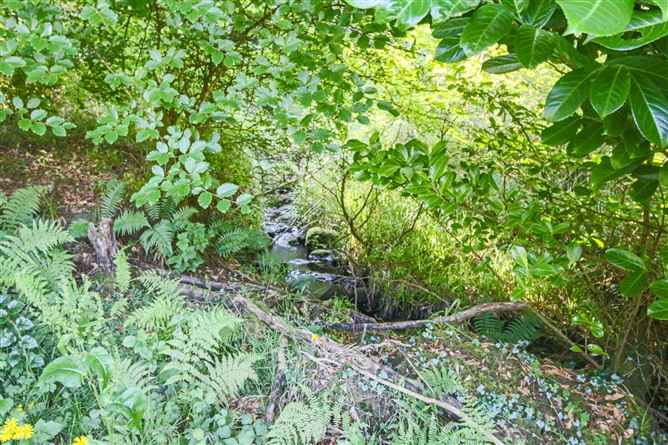 Photo 30 of 35 — Ballynashee, Geevagh, Co. Sligo