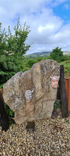 Tullynahaia, Ballinaglera, Carrick-On-Shannon, Leitrim