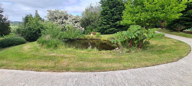 Tullynahaia, Ballinaglera, Carrick-On-Shannon, Leitrim