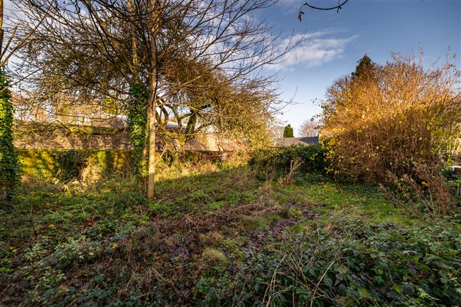Main Street, Portarlington, Laois