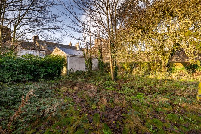 Main Street, Portarlington, Laois