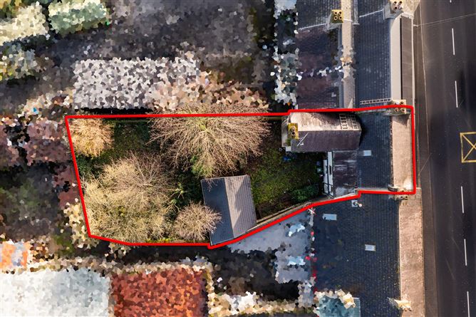 Main Street, Portarlington, Laois