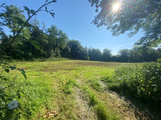 Photo 1 of 1 — Site B, Carrachor Td., Scotstown, Co. Monaghan
